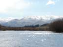 34 queenstown10.jpg
